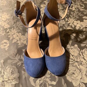 LC Lauren Conrad Hydrangea